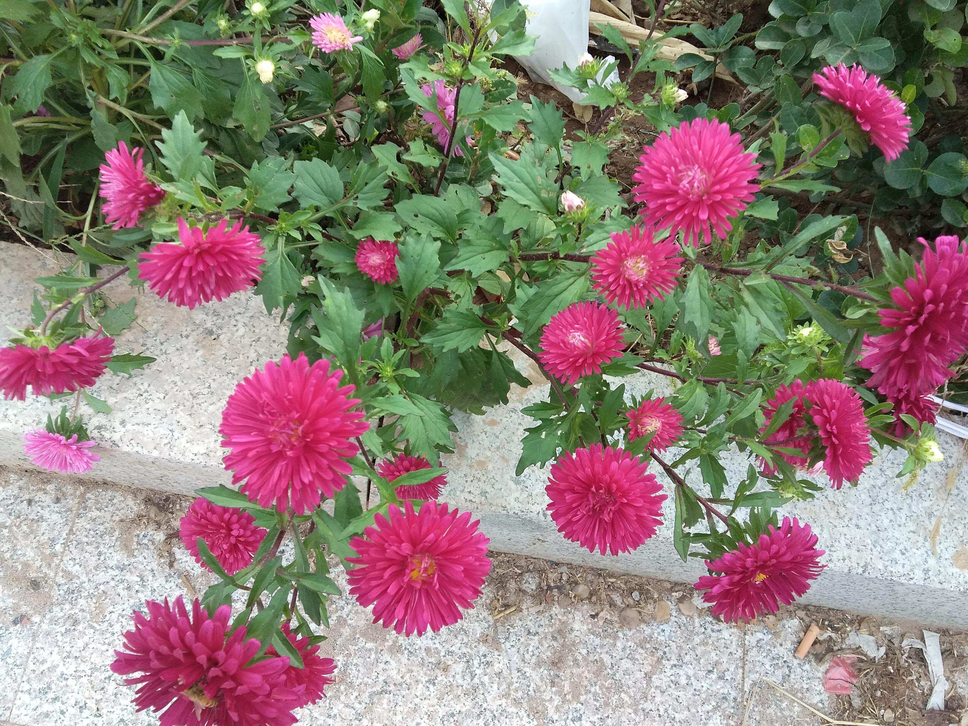 当你生气时想到的话,当你生气时你应该如何解决