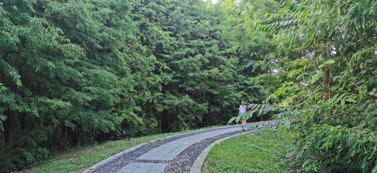 成都青龙湖公园门票,成都青龙湖公园地址