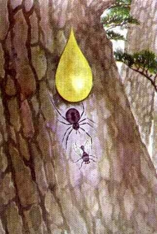 令人印象深刻的小学语文,不同年代的小学课文插图