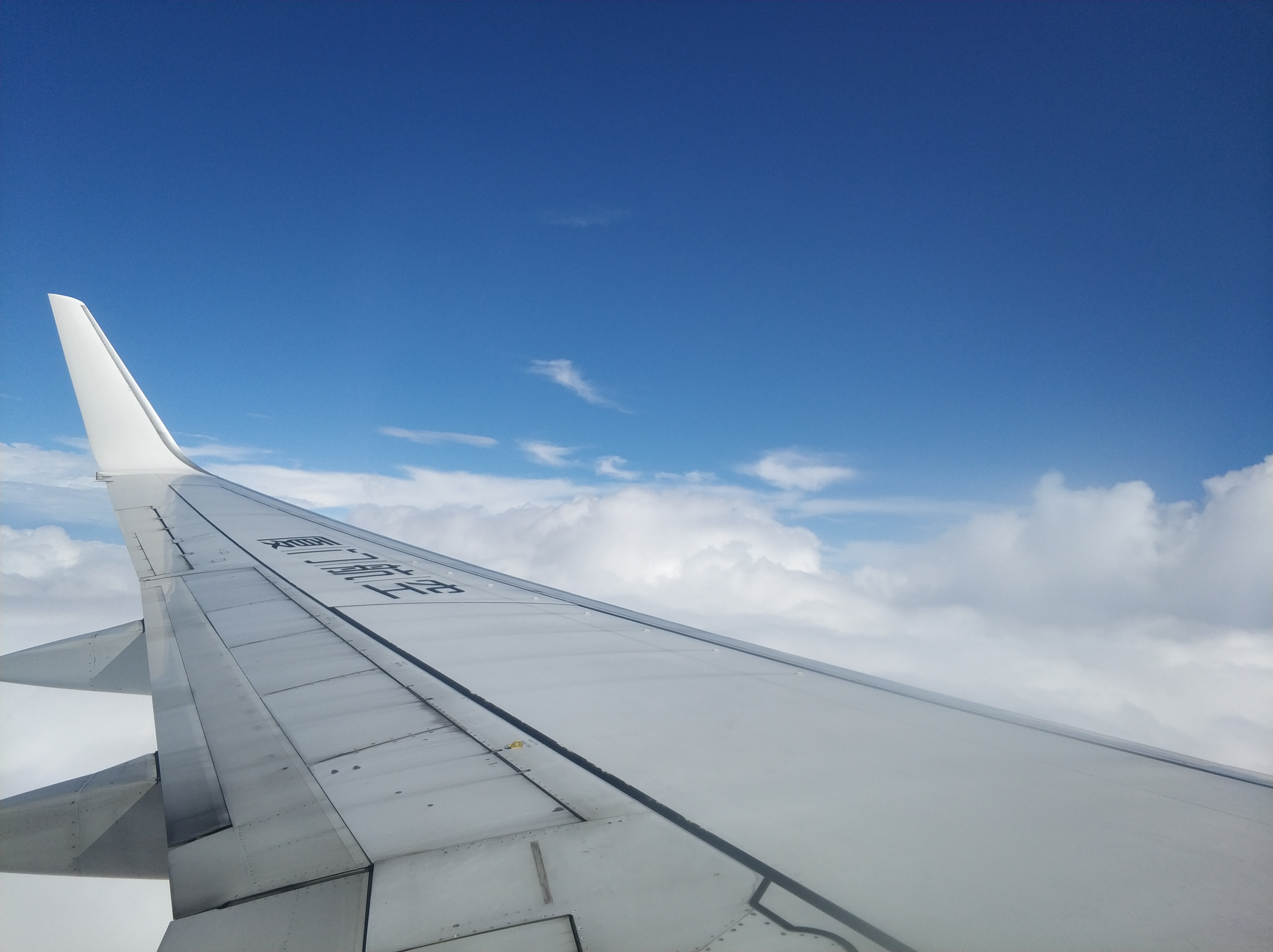 广州长隆野生动物园1天1夜,带孩子去广州长隆野生动物园