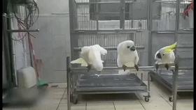 对喝酒醉了的人怎么说才好,对付喝醉酒的人发朋友圈怎么说