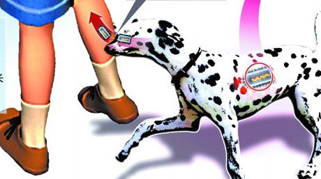 为啥被狗咬了会得狂犬病,为什么被狗咬了会得狂犬病视频