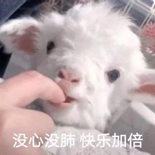 低卡零食别被骗了,低卡低脂零食骗局