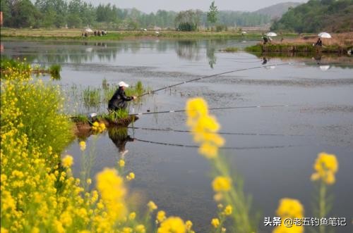 春季钓鲫技巧和方法,冬钓鲫的最佳调钓方法
