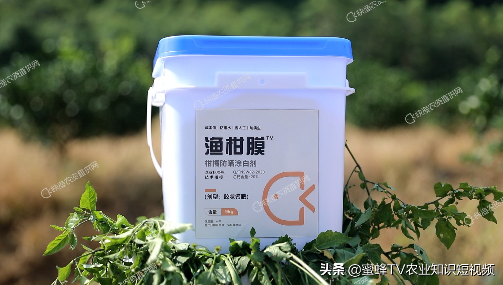 柑橘专用防晒剂使用方法,柑橘防晒用哪种比较好