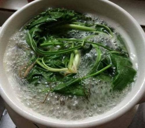 农村看到这几种草要警惕,在野外遇见这种草一定要小心