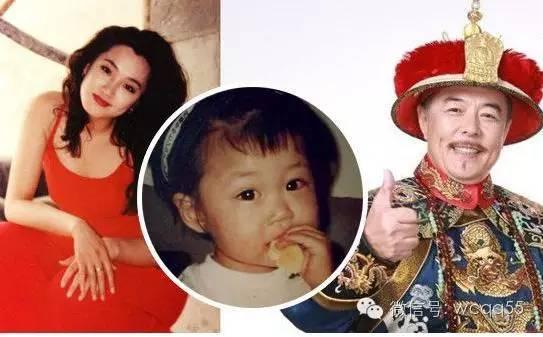 张铁林陶虹事件,张铁林的故事全集