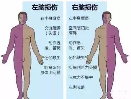 面神经分布图片大全,怎么记住面神经分布