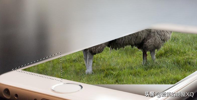 如何简单完整的做一张ps图,ps怎么制作图片详细步骤