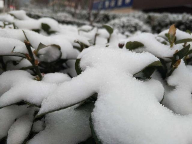 我是谁我在哪里,我是谁我在哪里表情图片