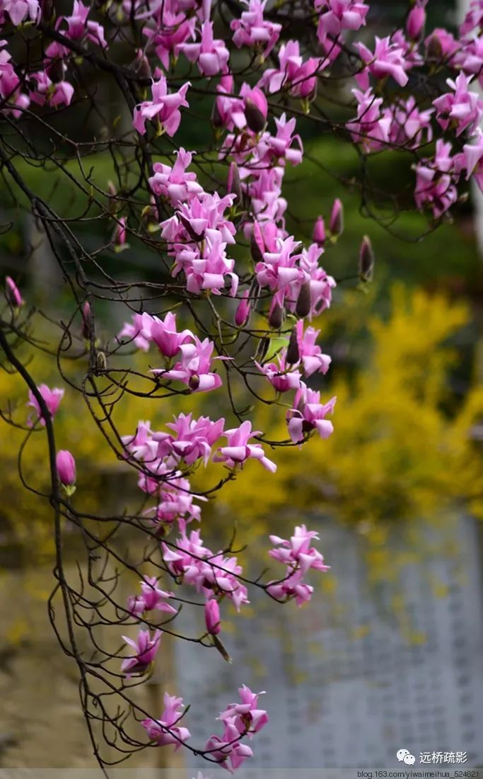 药王谷里觅旧迹（原图文）