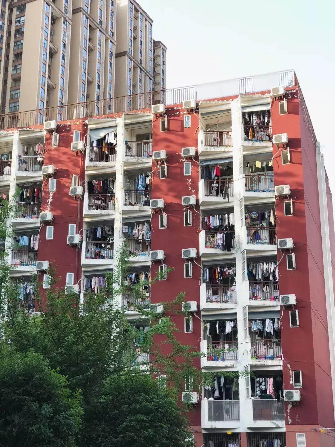 成体，一所靠“抓小偷”牢牢锁死热搜的学校