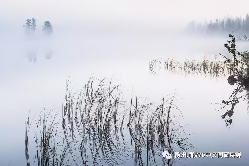 【老师去了,我每年来摩挲老师家的杨柳】