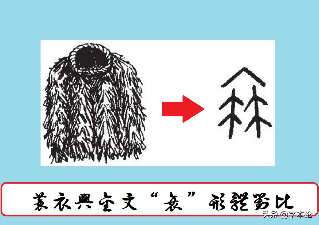 回乡偶书中衰字的正确读音是什么,衰和蓑分别怎么读