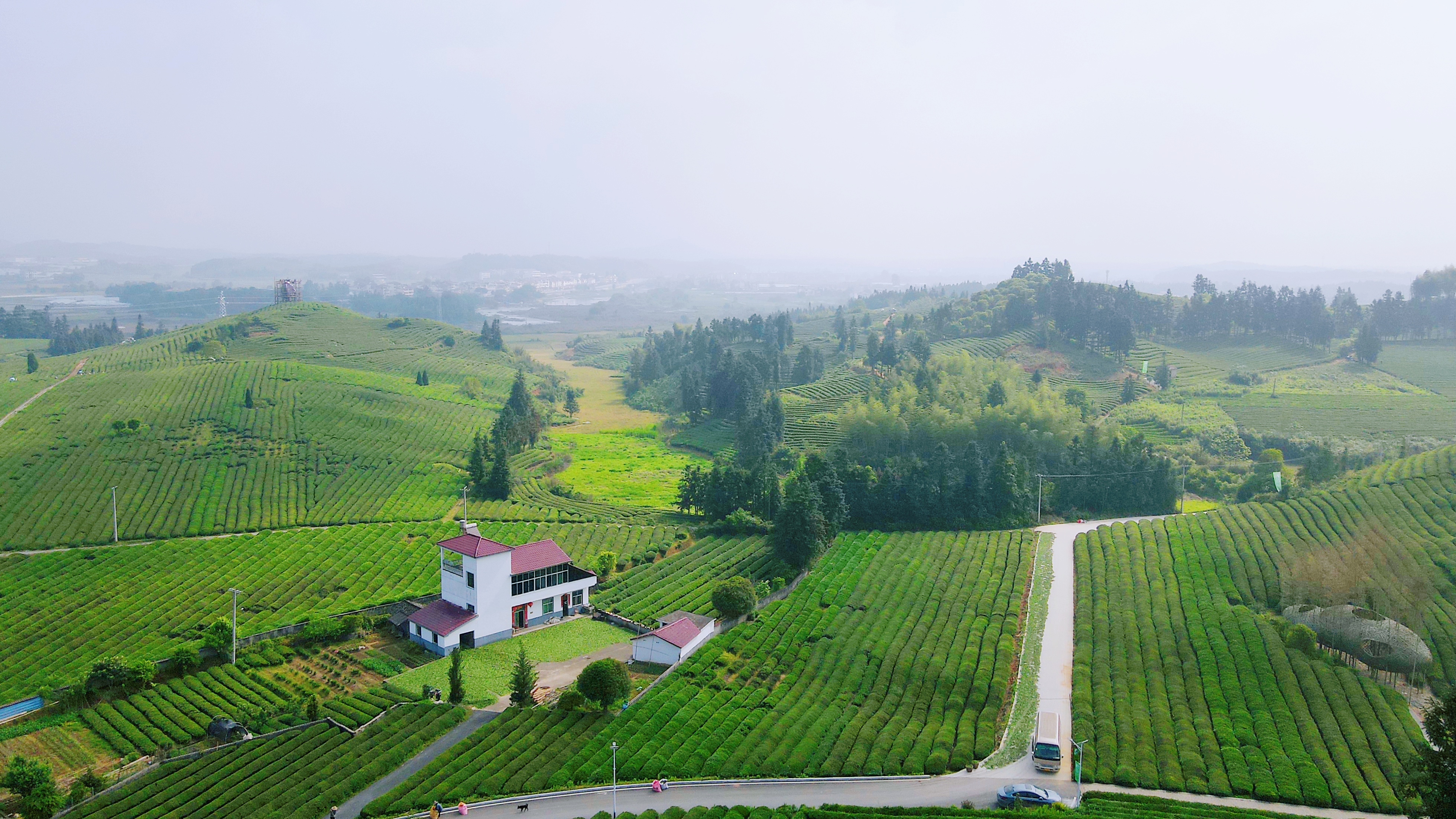 景德镇茶之源瓷之都,景德镇浮梁茶文化