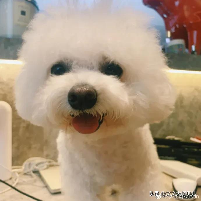 从“扔在井里没死成的房家老四”，聊一聊“重男轻女”的原生家庭