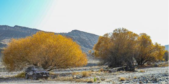 2021长安cs75自驾游,新cs75plus川藏自驾游