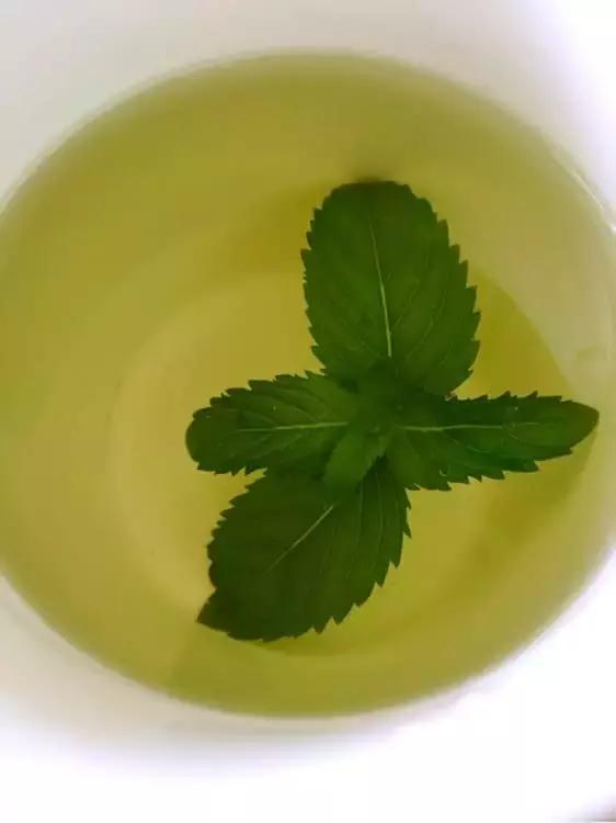 春天养一盆草花,养这4种花放松安神能睡更香