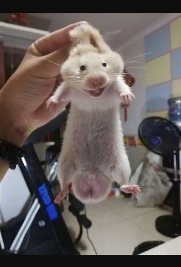 和女朋友去海边游泳搞笑,带女朋友去水上乐园玩搞笑视频