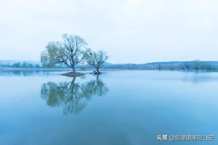 诗词专辑|落日涛声壮，长空雁影孤