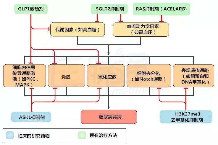 肾病糖尿病的日常饮食,糖尿病肾病治疗新进展培训总结