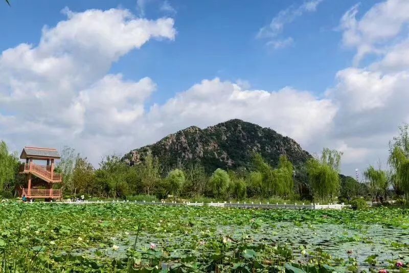 2021年济南人口还会增长吗,济南未来的潜力到底有多大