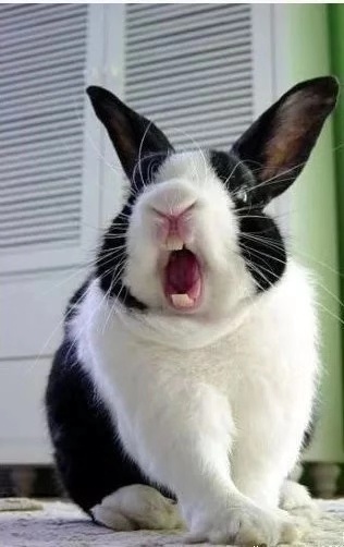 双十一老公想离婚,双十一和老公吵架了