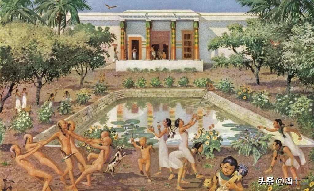 柚子控夏梢,柚子控