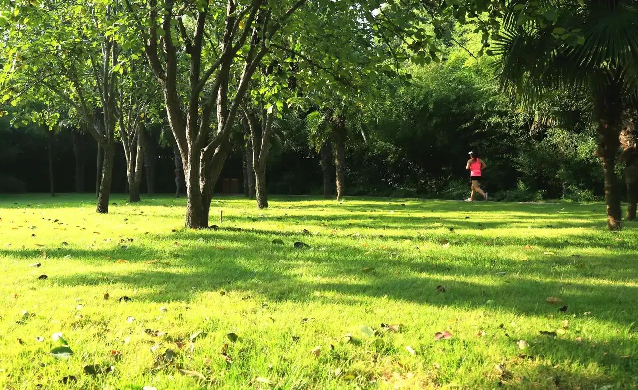 好书推荐人简介,好书推荐栋梁之才
