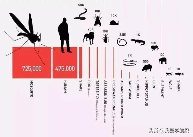 全网狂销10W+盒,日本“变态”驱蚊剂!网友:1盒搞定整个夏天
