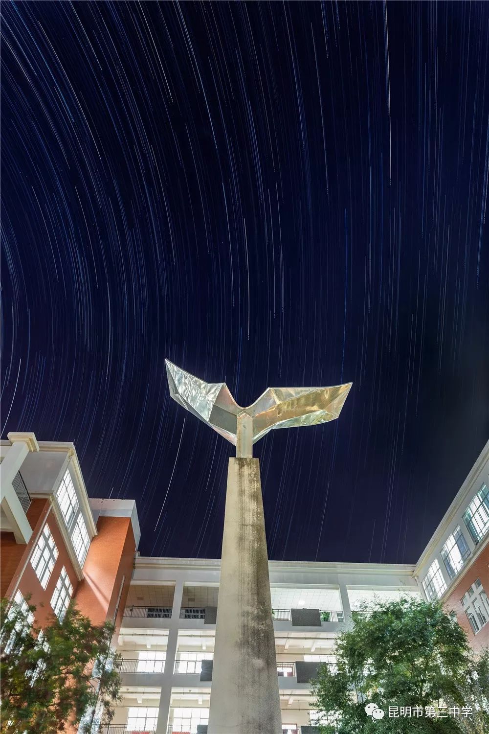 三年级主题征文600字爱国主义,三年级中华魂征文作文