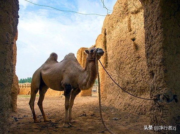 「原创」穿越多彩*疆新**（第七站）叶城，昆仑第一迷城