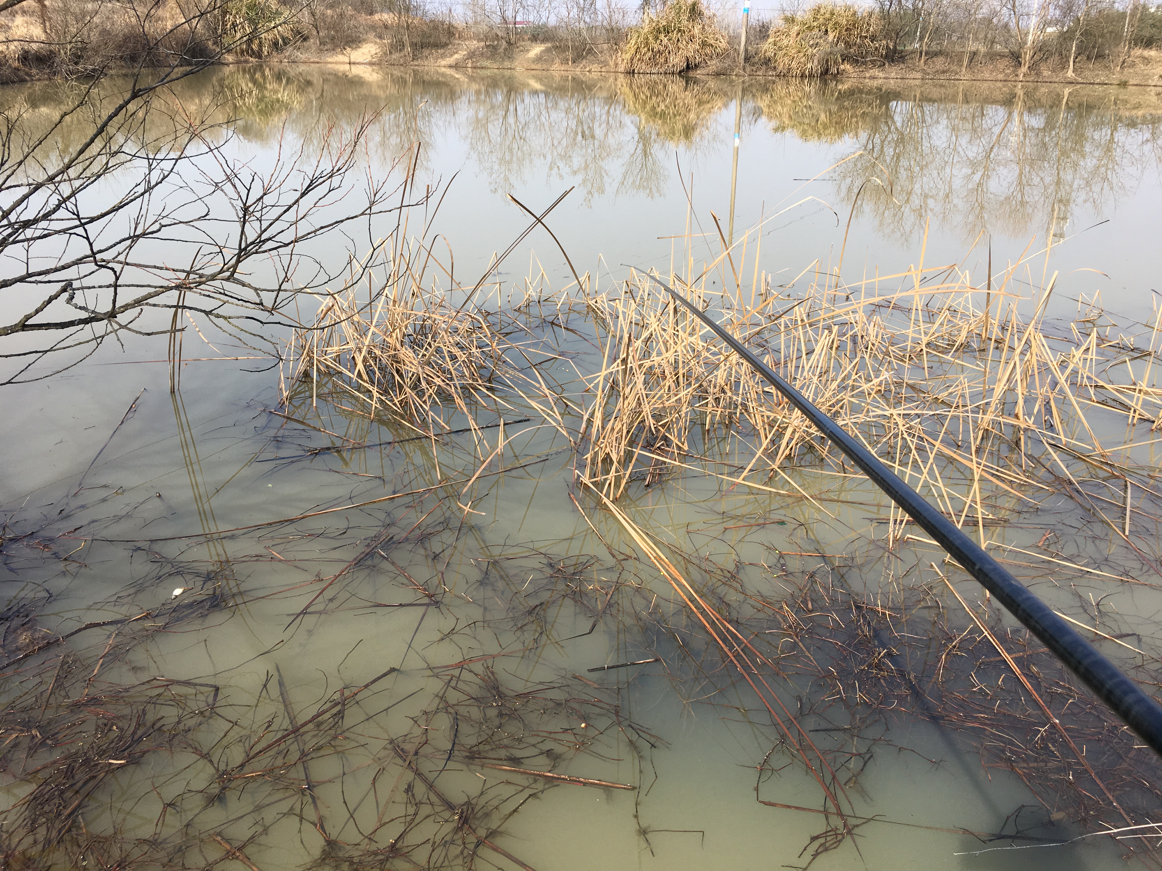 经常钓不到鱼原来是少了这个步骤,冬季晴天10度钓鲤鱼钓深还是钓浅