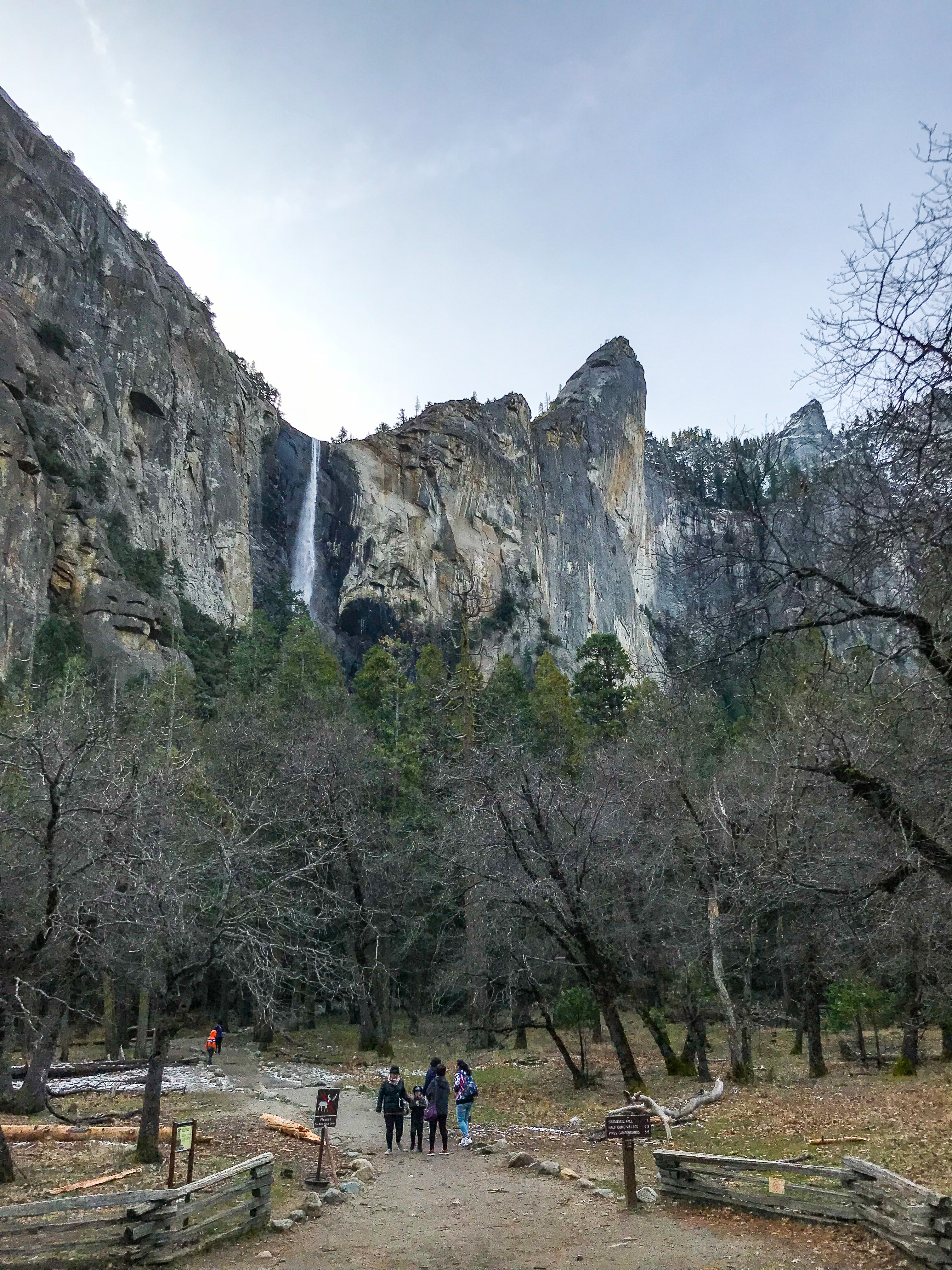 优胜美地国家公园,优胜美地国家公园1935