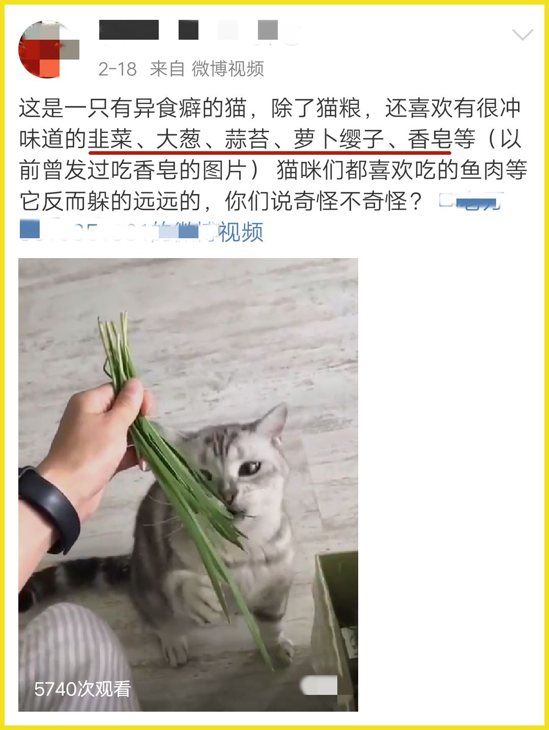 我家猫吞了根针险些丧命，这些东西千万别让猫碰