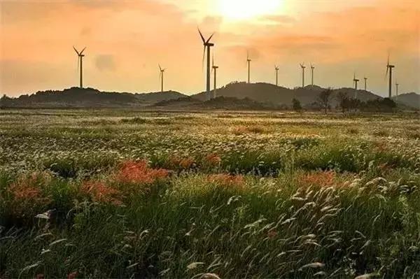 广东开海吃海鲜攻略,开海吃海鲜攻略