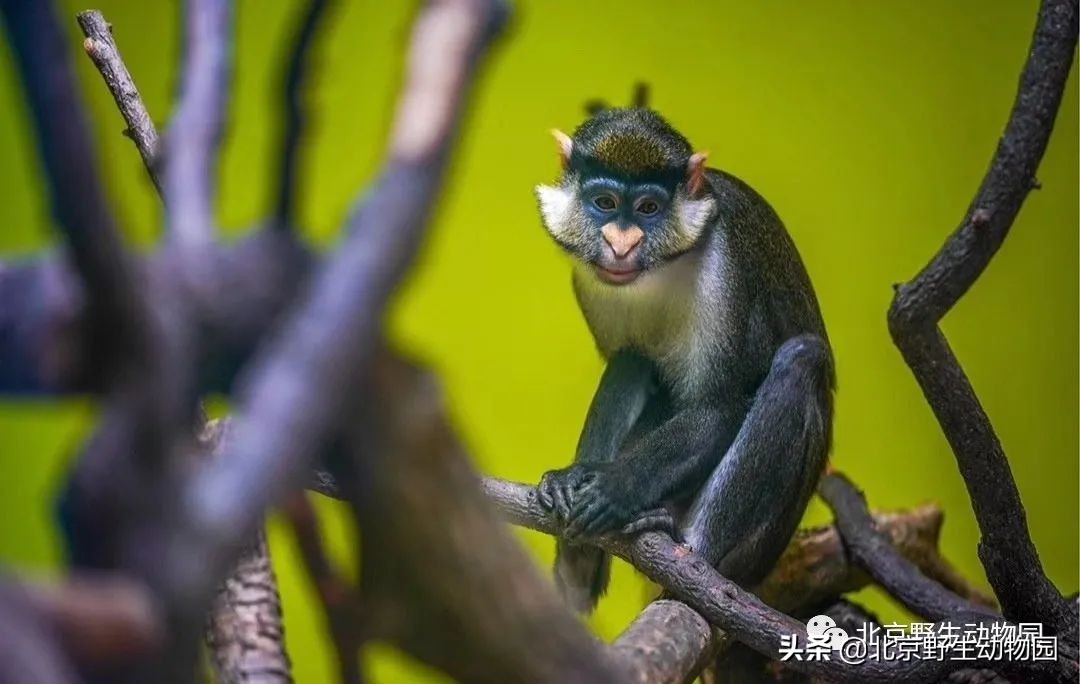 我的“欧慨”找不到啦