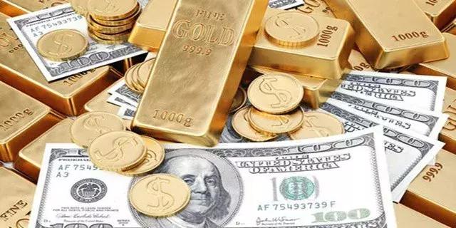 金玺人生少儿版分红版,金玺人生靠谱吗