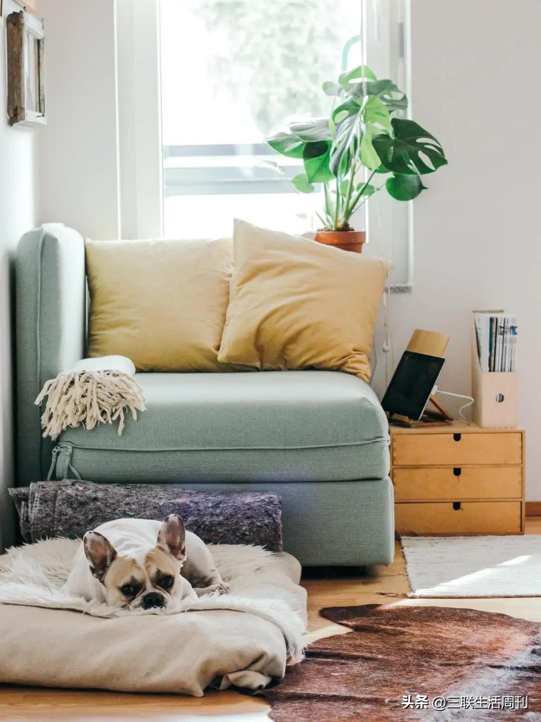 最新的家居清洁,家居清洁新时代