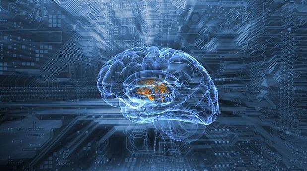 最强大脑记忆法记忆的秘密,最强大脑教你记忆法英文