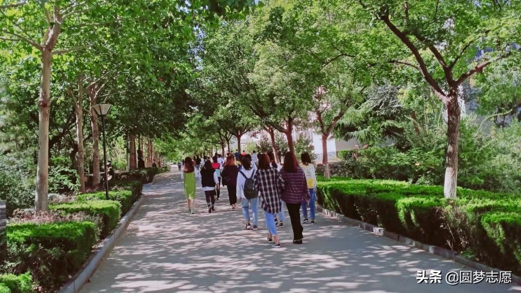 老二本和新二本区别,老二本和独立学院哪个好