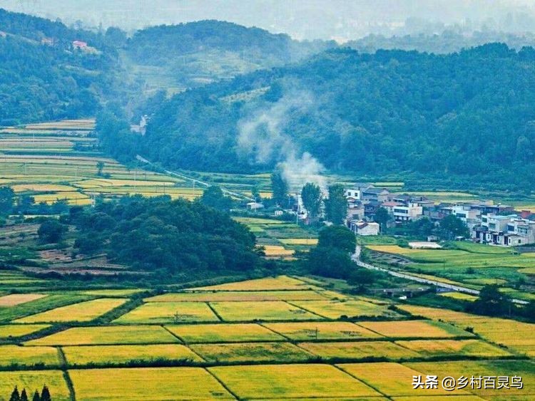 漫步在故乡的夕阳下,骑行漫步在乡间的小路上