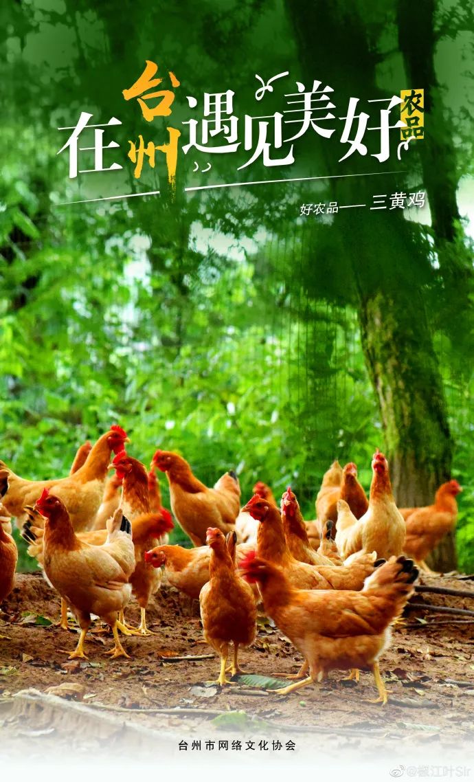 台州是好城市吗,台州啥好玩