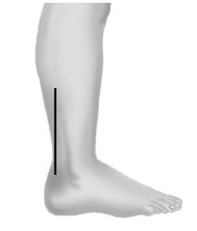 简单易学实用的保健方法,保健神奇的秘方