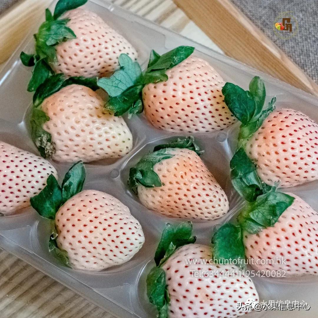 进口水果生意年入千万,批发水果月入百万