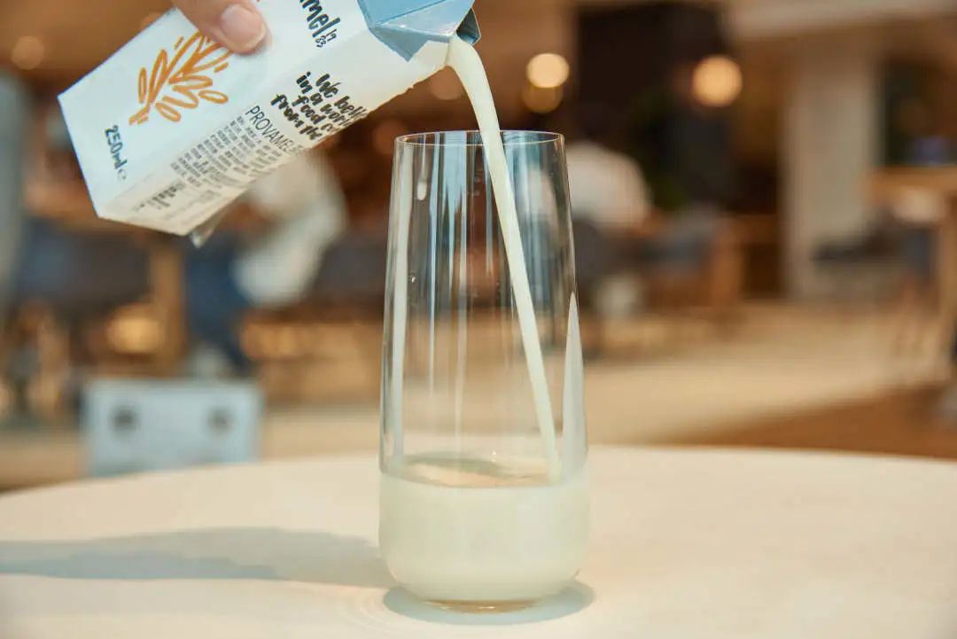 四款植物奶推荐,市面上的植物奶