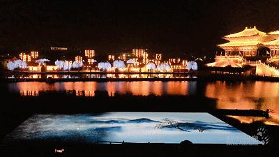 属虎,数虎图像深圳