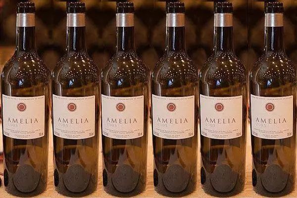 Climat笔记：西班牙“膜拜酒之王”—平古斯