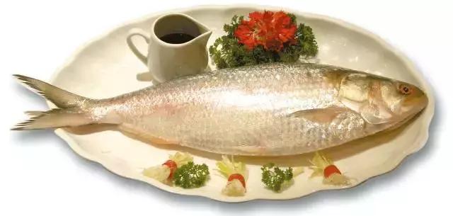 江阴为什么自豪,江阴为什么这么好