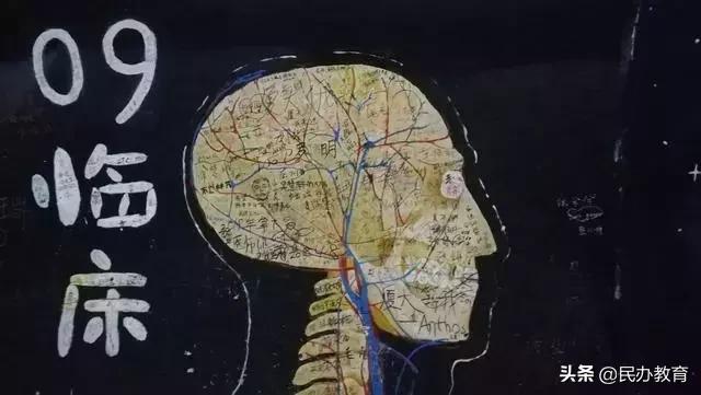 成长家园绘画,厦大芙蓉餐厅涂鸦墙